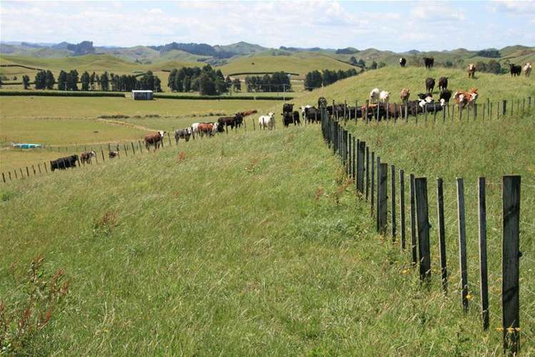 85 Gordon Road Stratford_6