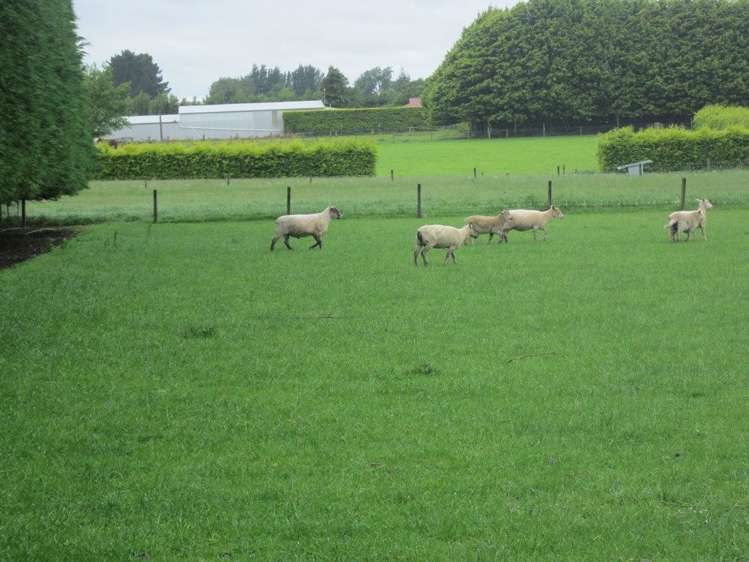 73 Flora Road East Makarewa_13