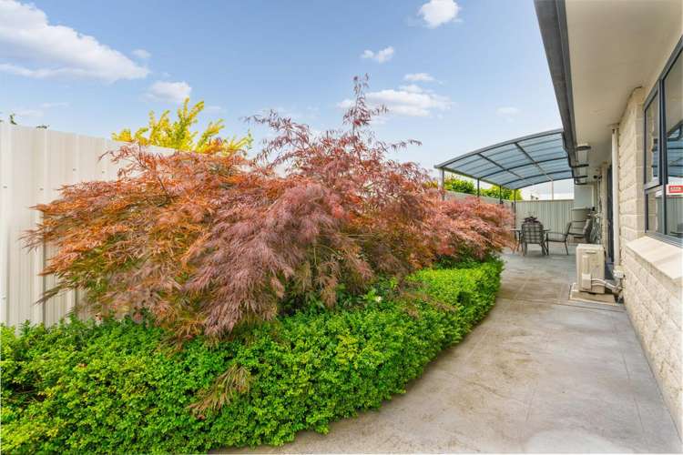 20a Worksop Road Masterton_20