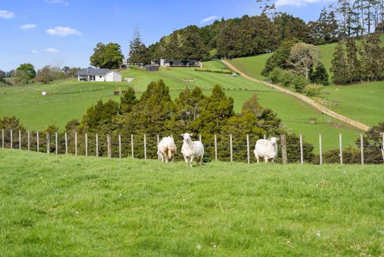 62 Pampas Lane Te Arai_25