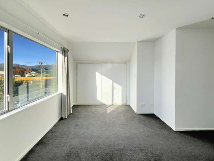 17 Antrim Street Sydenham_9