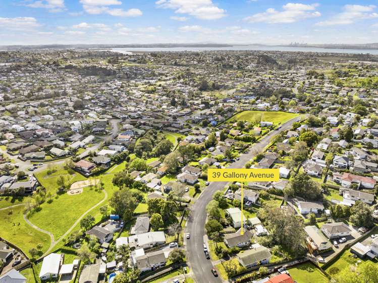 39 Gallony Avenue Massey_15