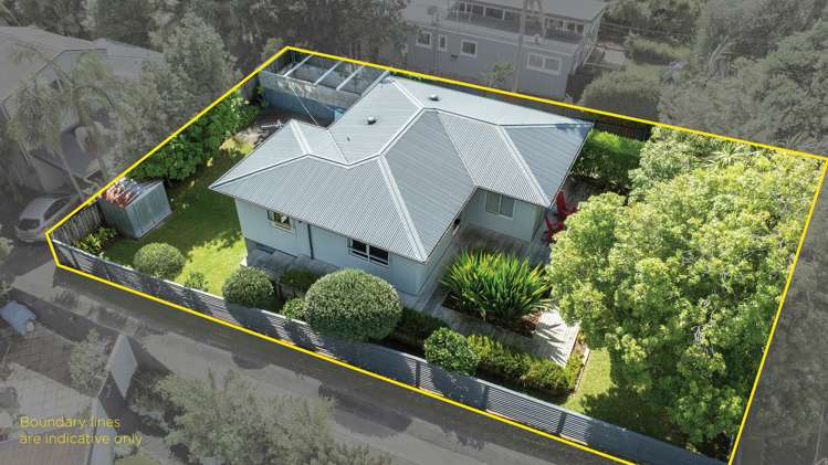 32 Queen Mary Avenue New Lynn_19