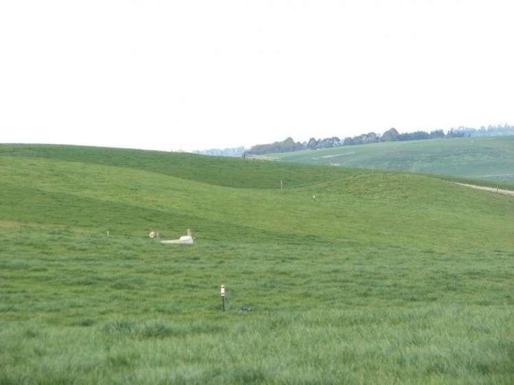 62 Harveys Road Island Cliff_6