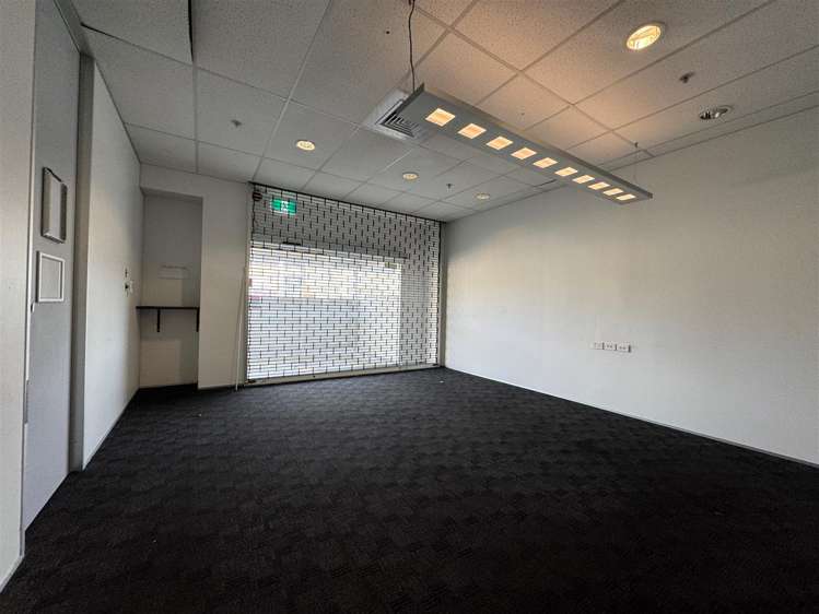 11 McDonald Street Morningside_8