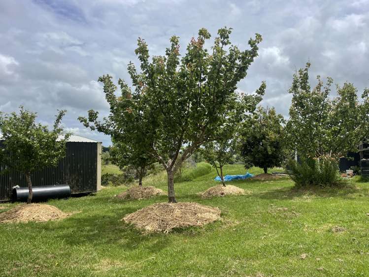 852 Oneriri Road Kaiwaka_24