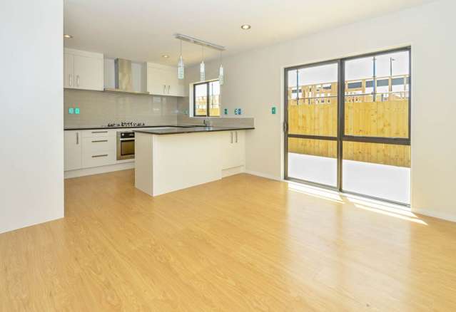 3 Kaki Lane Takanini_3