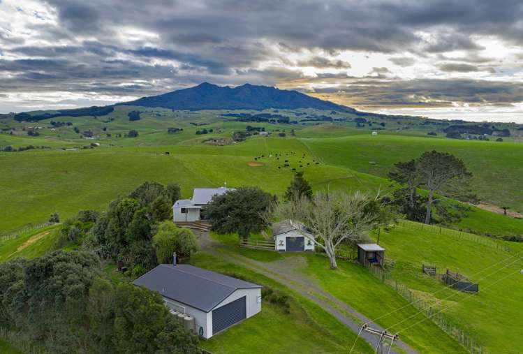 98a Houchen Road Raglan_5