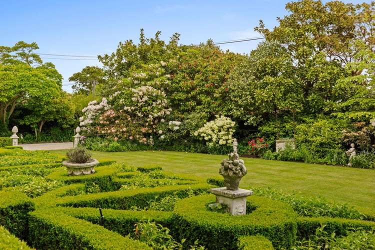 40 Mansfield Avenue Merivale_5