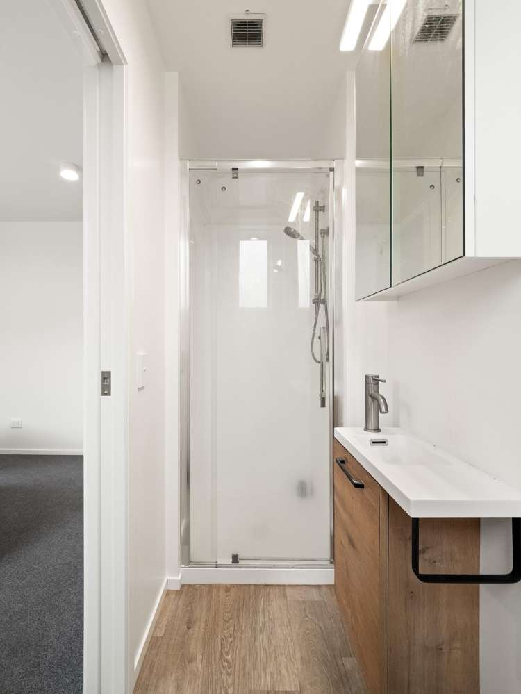 1 2 3/33 Malvern Street, Woodhaugh_13