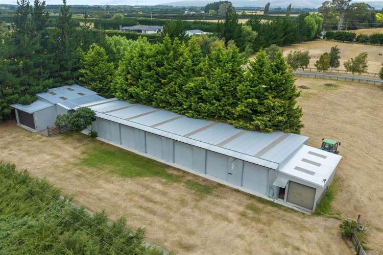 339 Curraghs Road Rolleston_5