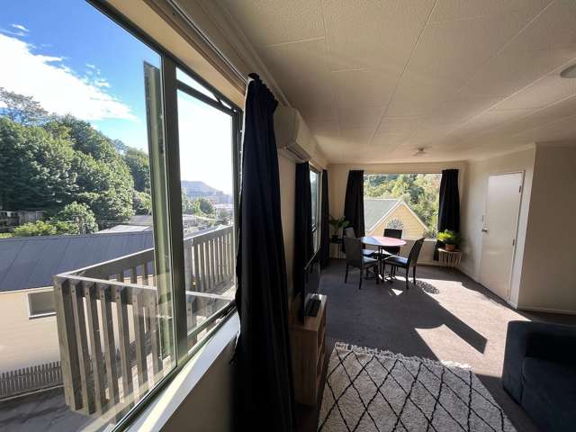 17B Serpentine Avenue Dunedin Central_4