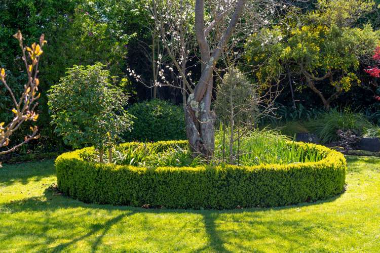 39 Grey Street Martinborough_15