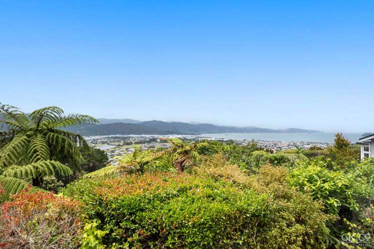 34 Miromiro Road Normandale_29