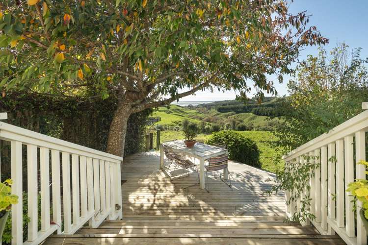 52 Stewart Road Whakamarama_26