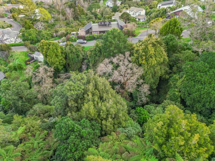 14 Corrondella Grove_2