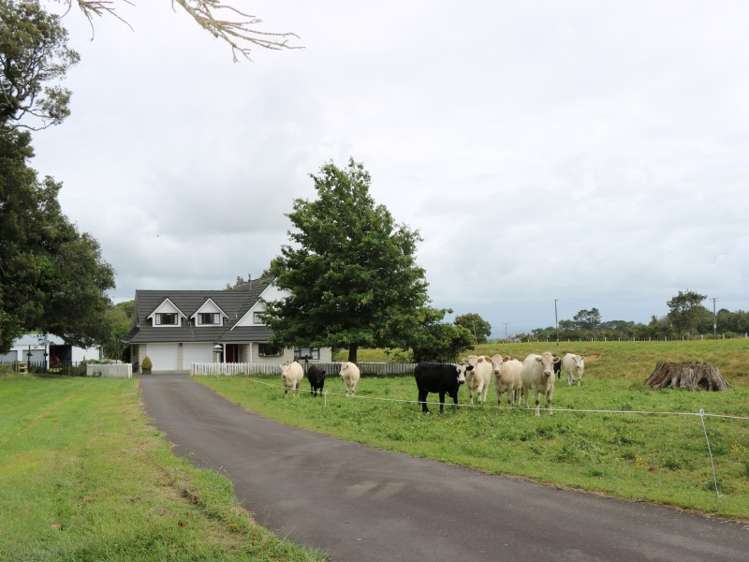 496 Tapapa Road Tapapa_25