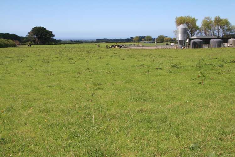 1641 Eltham Road Kaponga_11