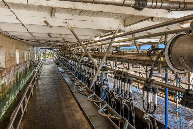 436 Haumea Road and 1035 Troutbeck Road Galatea_35