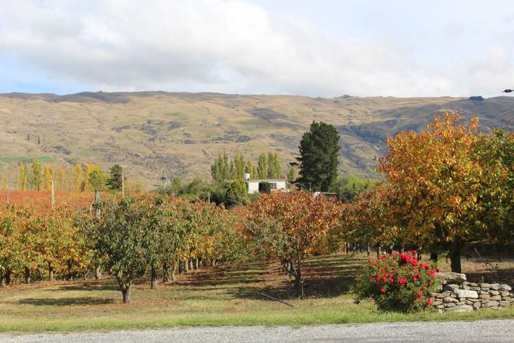 237 Roxburgh East Road Roxburgh East_22