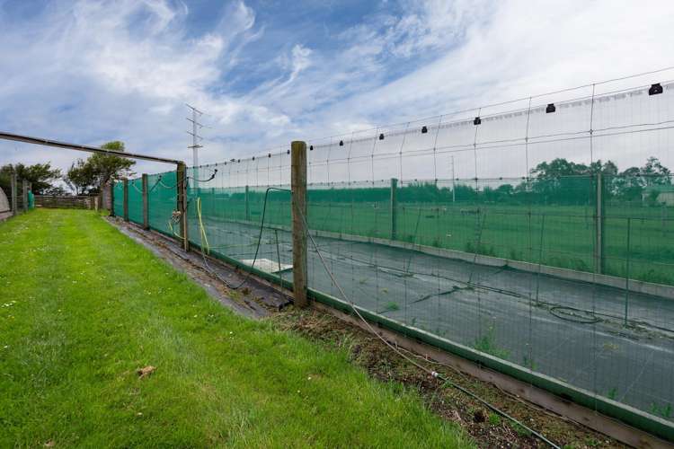 78 East Road Ascot_37