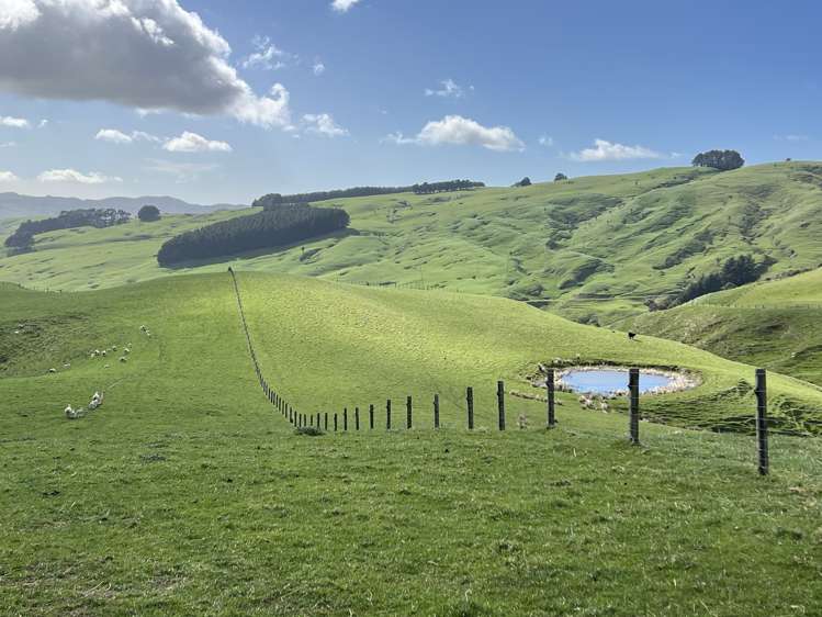 467 Waitahora Valley Road Dannevirke_8