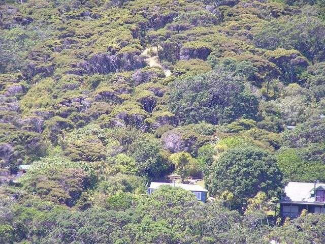 168 Shoal Bay Road Great Barrier Island (Aotea Island)_2