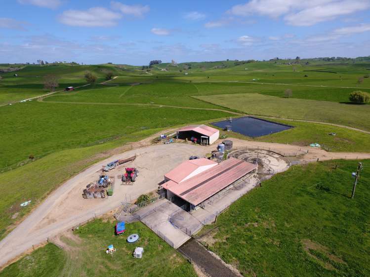 260 Maihiihi Road Maihiihi_13