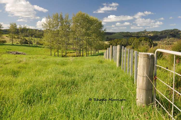 113 Te Rawhiti Road Matakohe_11