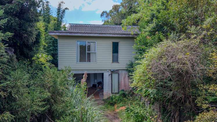 1B Peter Terrace Castor Bay_1