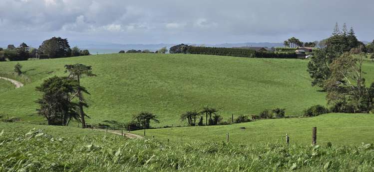 1028 Main North Road Onaero_24