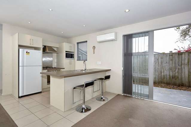 36c Hastings Street West Sydenham_3