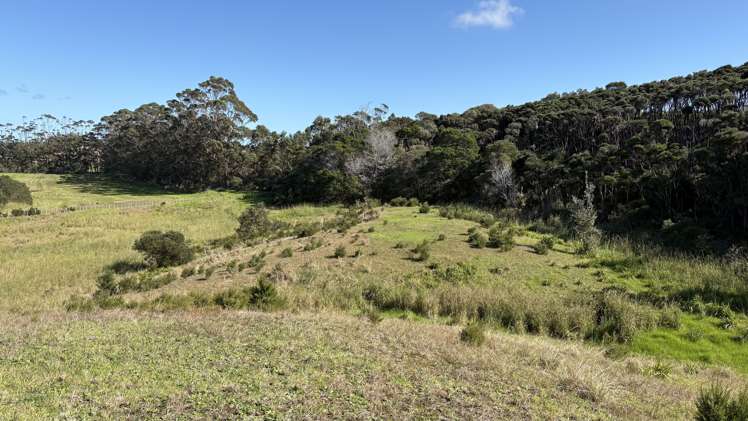Lot 8 4815 State Highway 1 Houhora_18