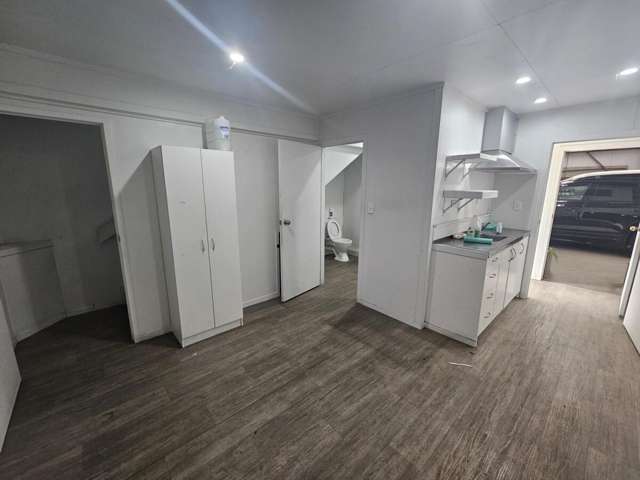 22 Carr Road Mount Roskill_3