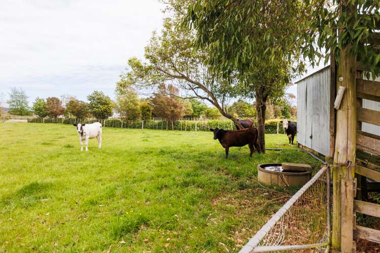 279 Tararua Road Levin_10