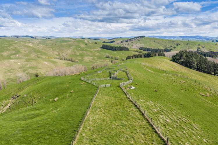 0 Awahiwi Road Wallingford_6