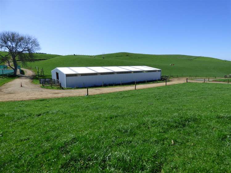 546 Ngutunui Road Otorohanga_13