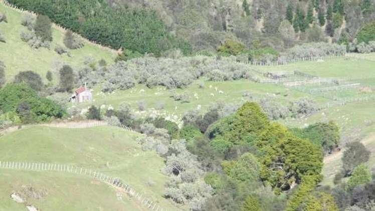 357 Summerhill Road Hinakura_13