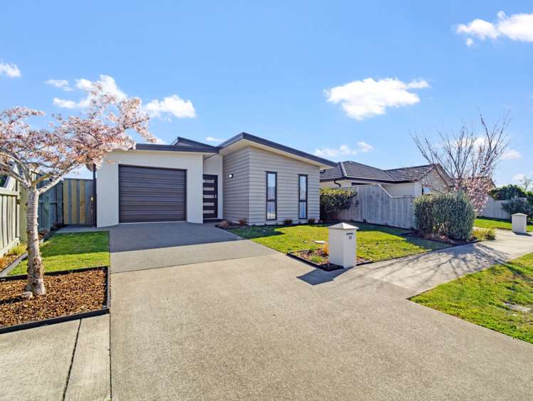35 Pakohe Street Pegasus_26
