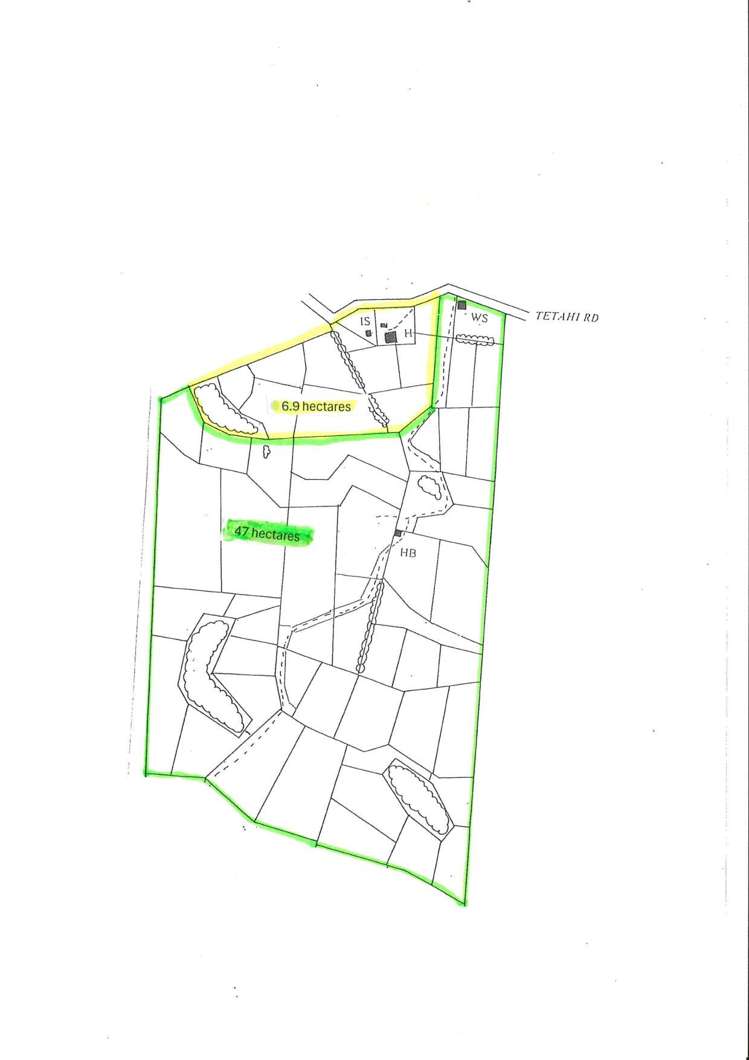 Te Tahi Road Puketotara_21