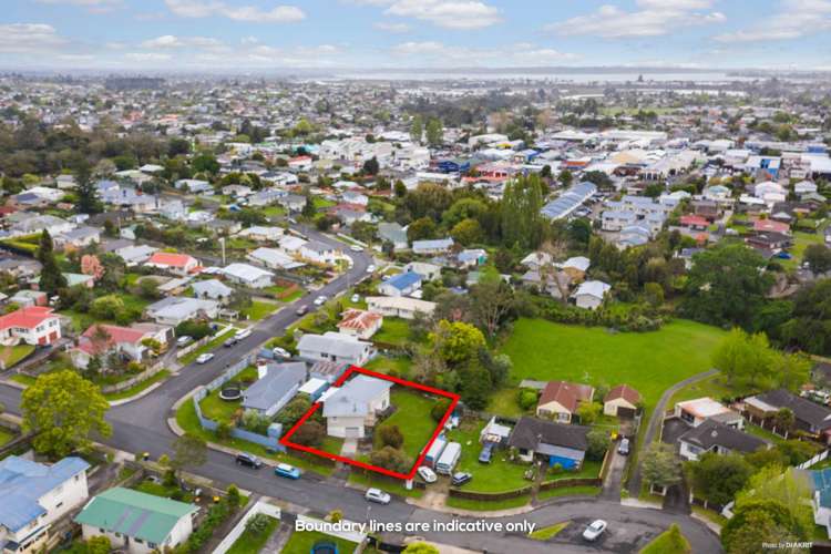 25 Meilland Place Glen Eden_11