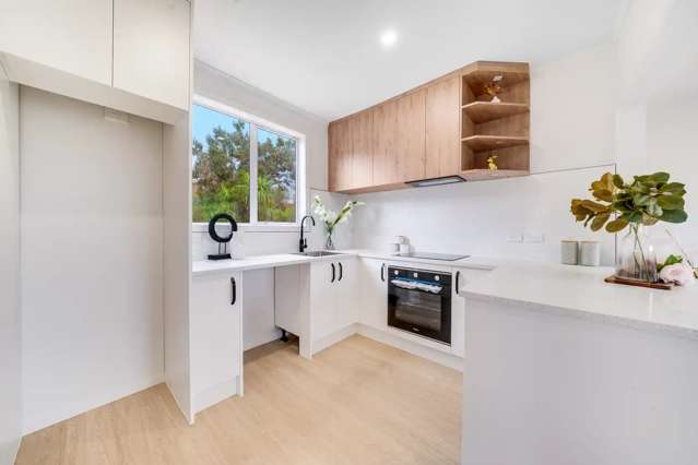 101 Seabrook Avenue New Lynn_4