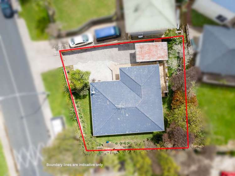 49a Glendene Avenue Glendene_15