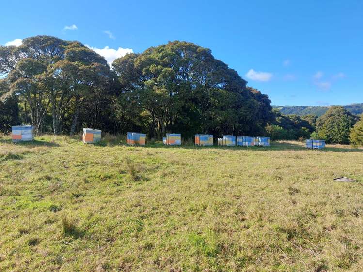 Lot 2/2084 Waiare Road Kaeo_18