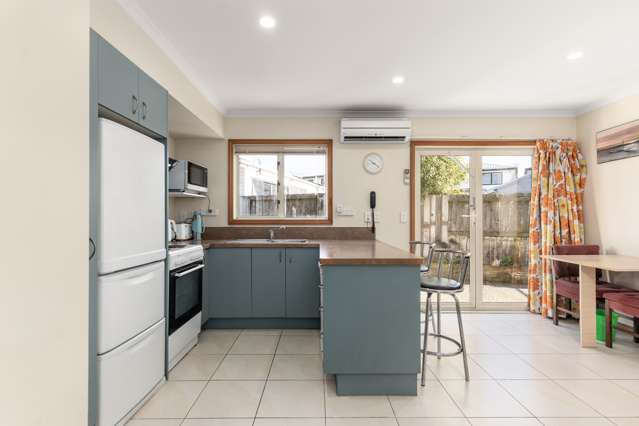 2a Chaucer Street Sydenham_1