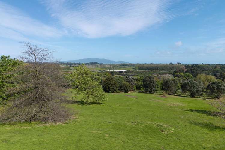 Lot Lot 1/59 Octavius Road Peka Peka_10