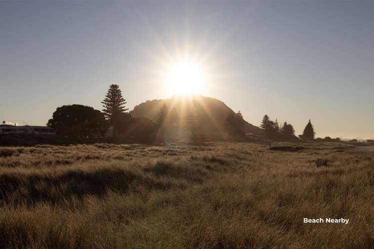 18A Muricata Avenue Mt Maunganui_34