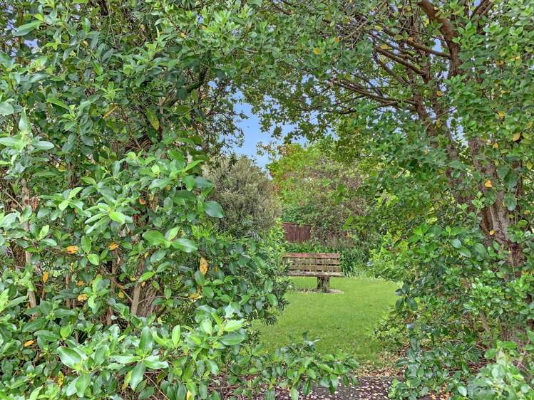 18 Chester Street 10516_10