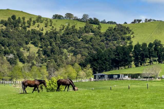 105 Twilight Road Clevedon_1