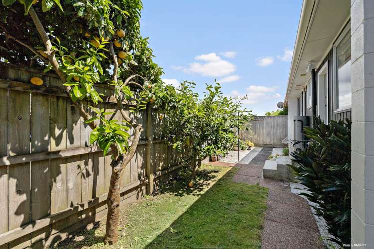 5a Orchard Street Avondale_18